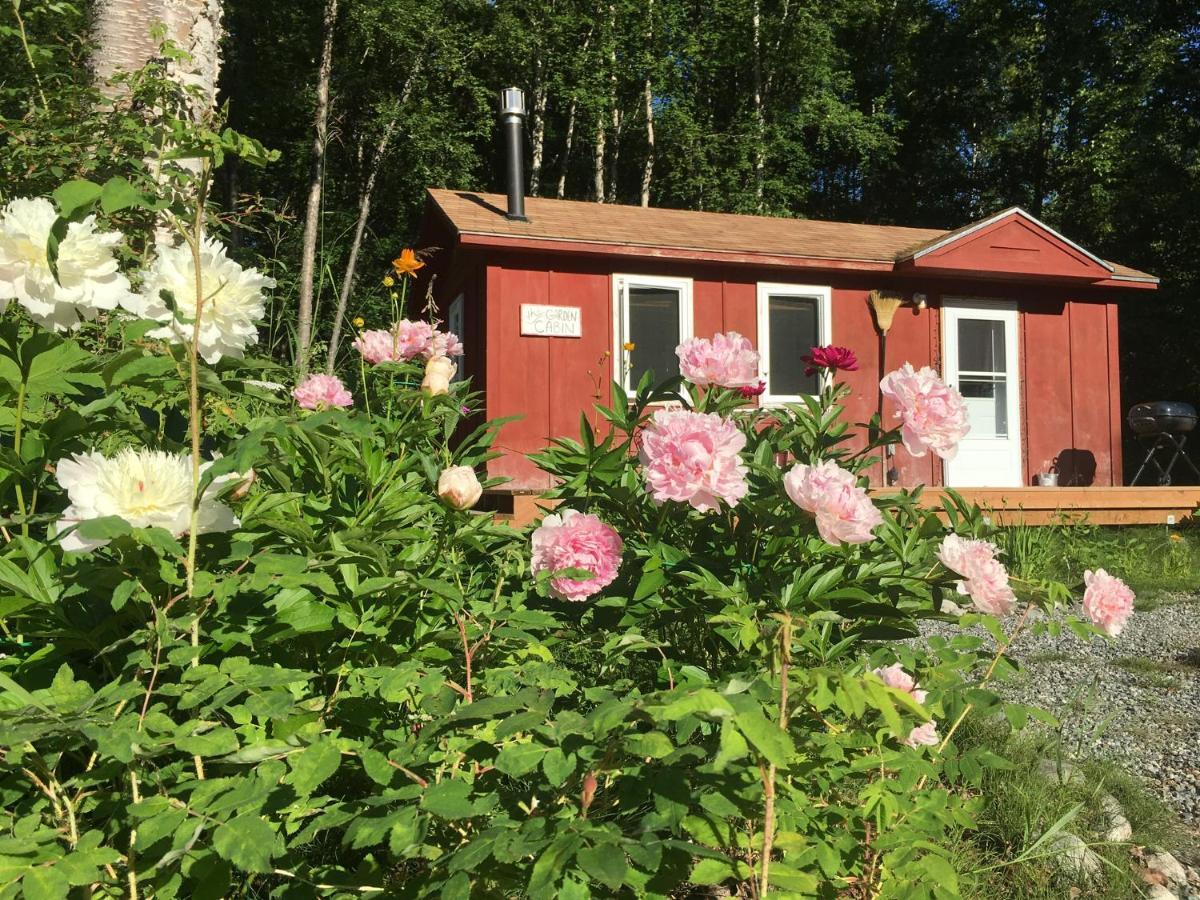 Trapper John'S Cabin & Cottages Talkeetna Kültér fotó